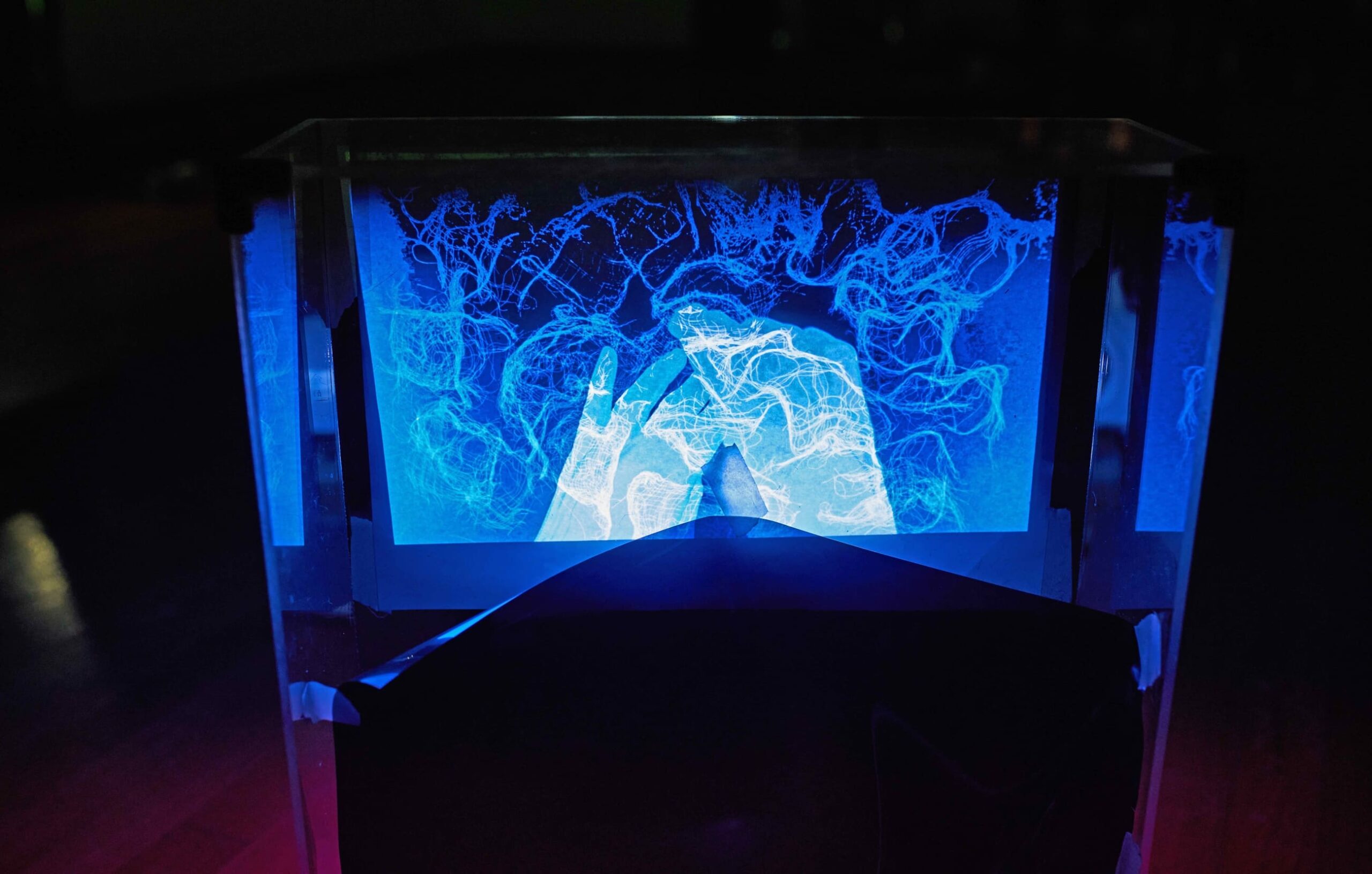 Premijera: “Stidljivost drveća” u Galeriji Vladimir Bužančić