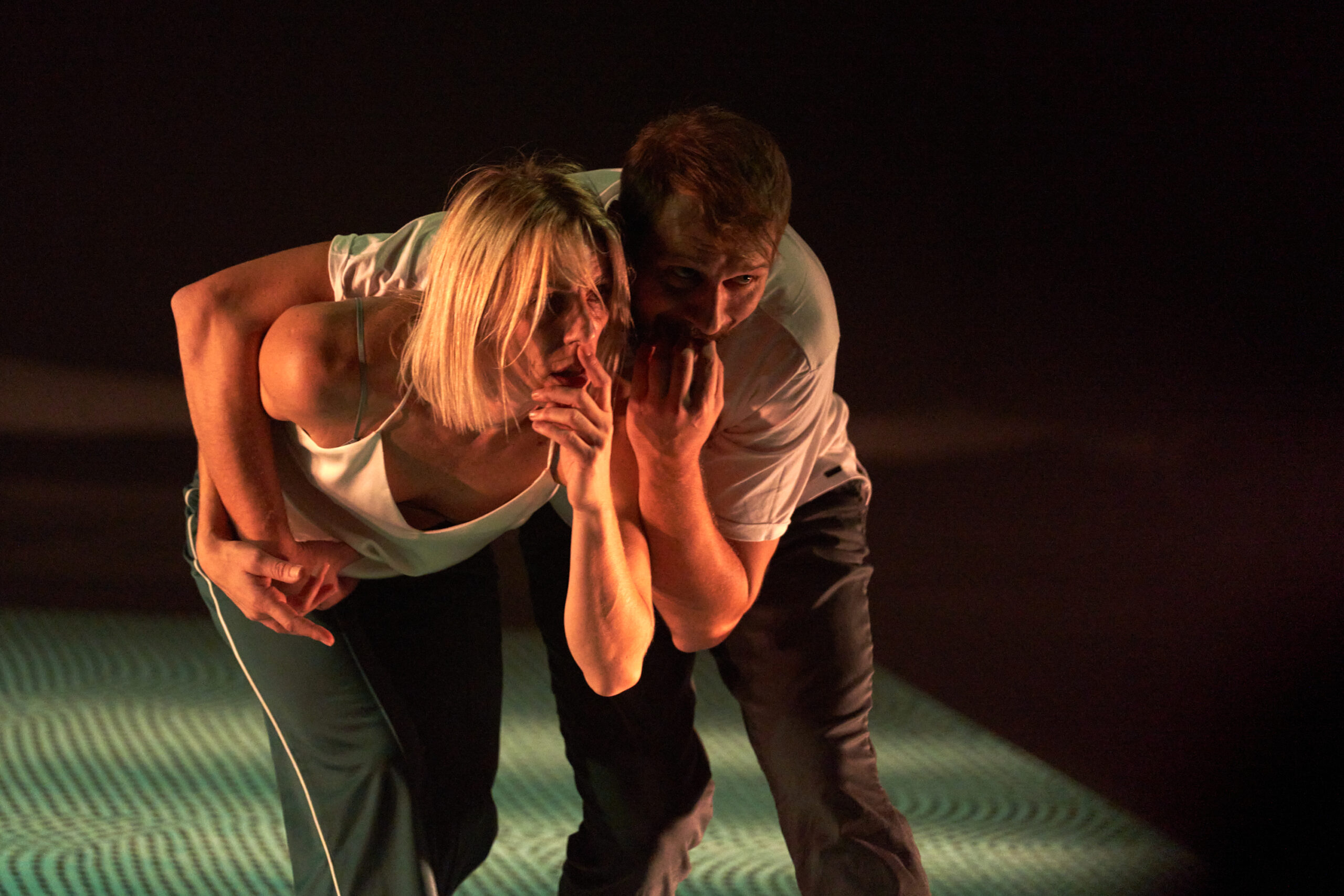 PARALELNE KAMPANJE (PARALLELE KAMPAGNEN)