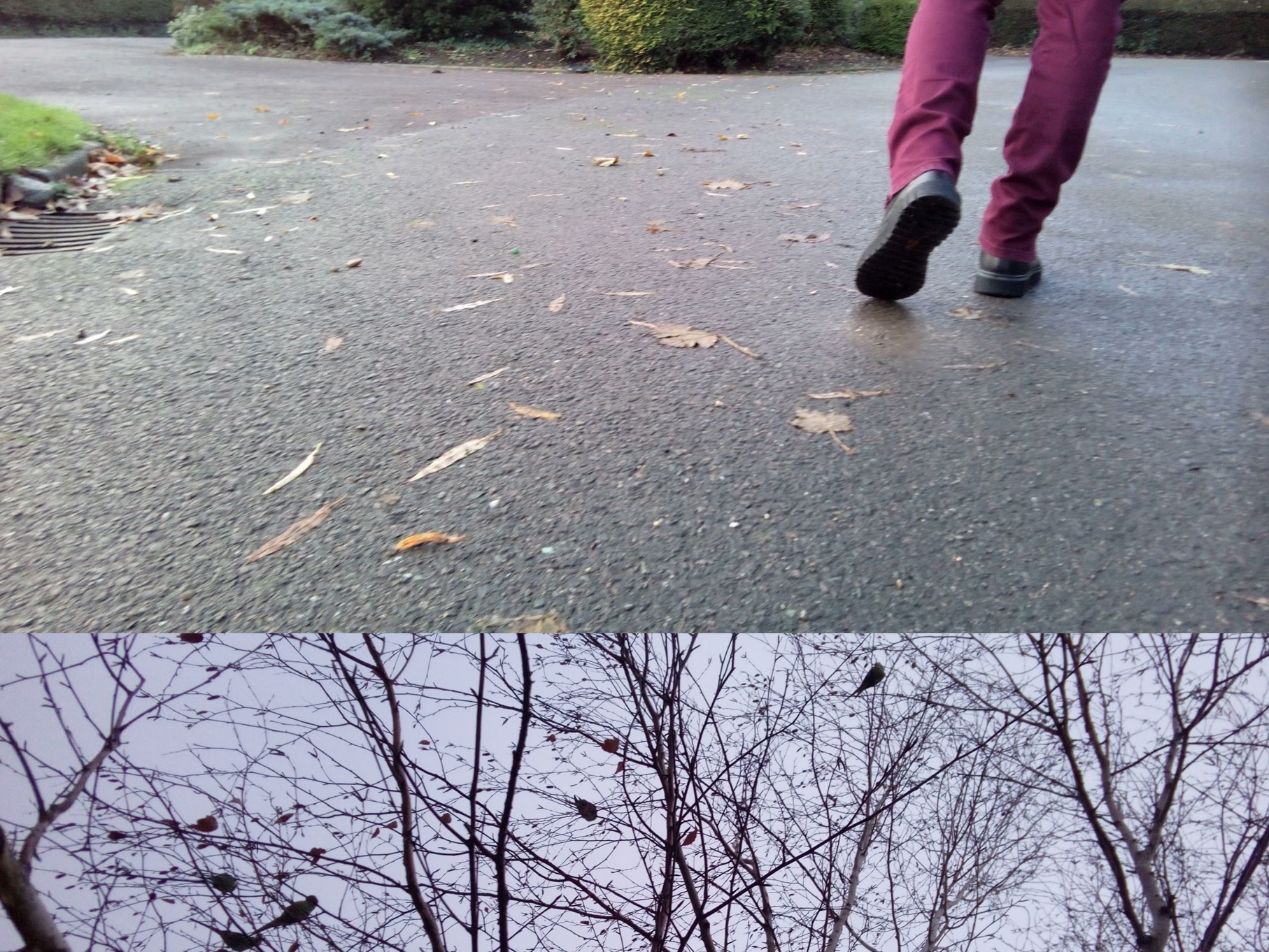 TRAVELOGUE  Stošije Zrinski 5.10.2024. u Tala Ple(j)su 